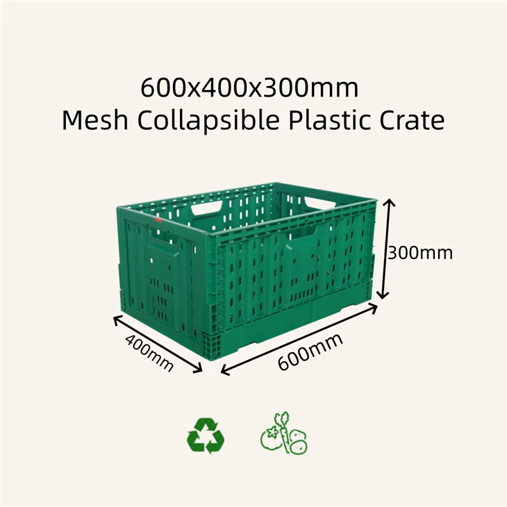 Collapsible Mesh Plastic Storage Crate